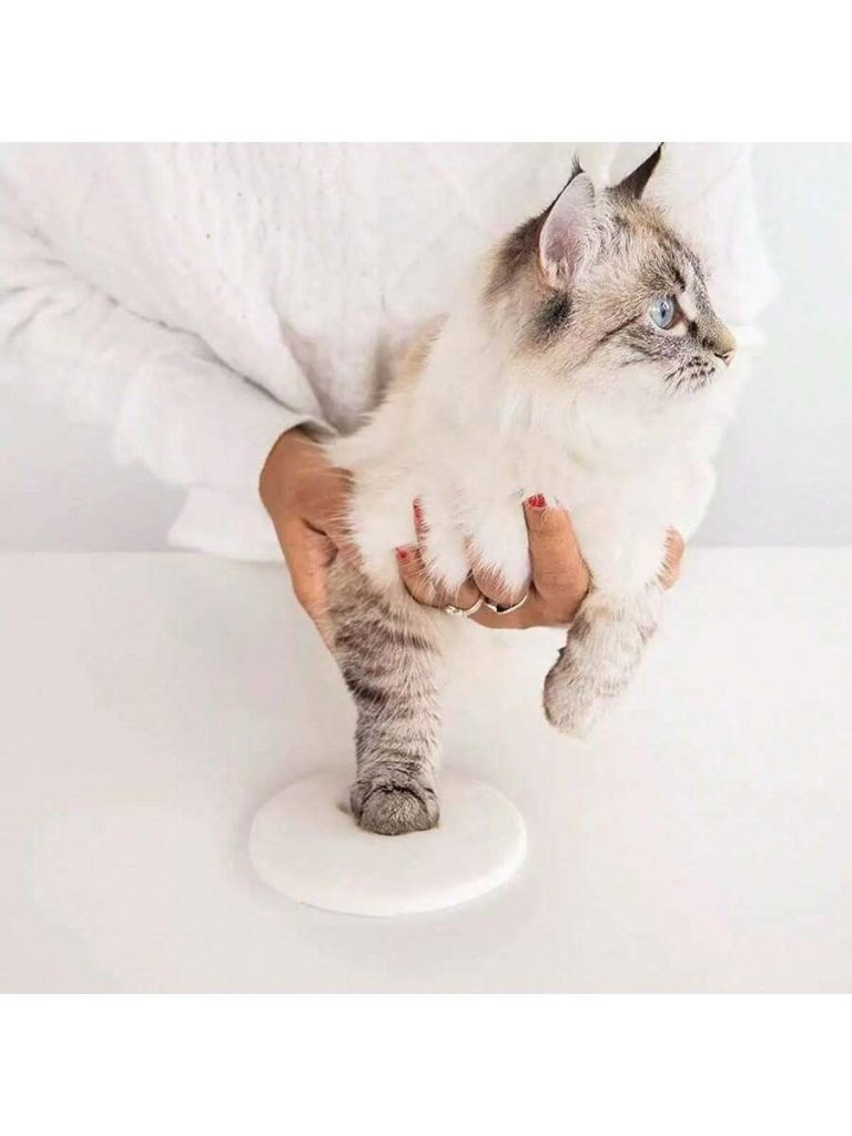 No-Touch Inkless Paw Print Kit - Perfect For Preserving Your Dog's Footprints, Inkless Pet Paw Print Pad, Ideal For Newborn Baby Handprint And Footprint Keepsake - Image 18