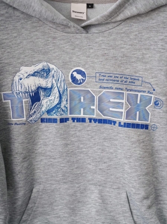 Discovery X SHEIN Women's Letter & Dinosaur Pattern Hooded Long Sleeve Sweatshirt - Image 5