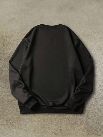 Discovery X SHEIN Men's Letter & Graphic Print Crew Neck Long Sleeve Pullover Sweatshirt, 2000s Style , Fall - Image 3