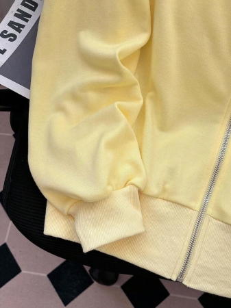 EMERY ROSE Fashionable Casual Style Long Sleeve Plaid Collar Zipper Letter Print Hoodie For Women Fall Cloth For Women, Christmas - Image 20