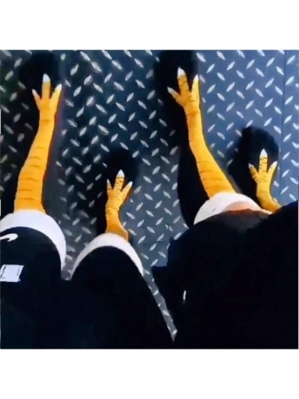 1/2 Pairs Unisex Chicken Claw Funny Over-The-Knee Socks, Unique Socks Suitable For Daily Wear, Sports, Gatherings, Y2k - Image 5